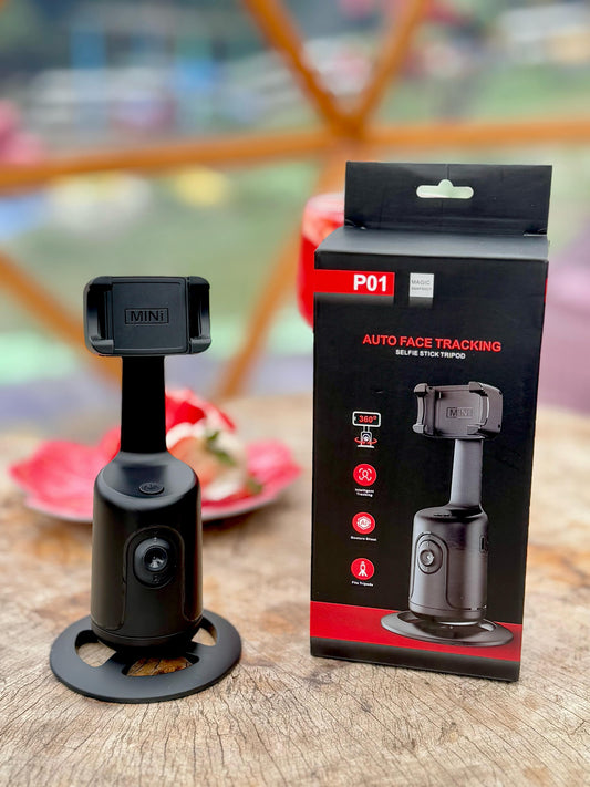 ESTABILIZADOR GIMBAL P01